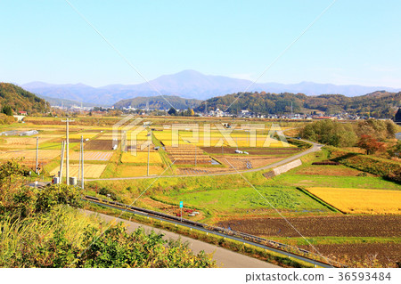 Folklore Village Tono Local Line 36593484