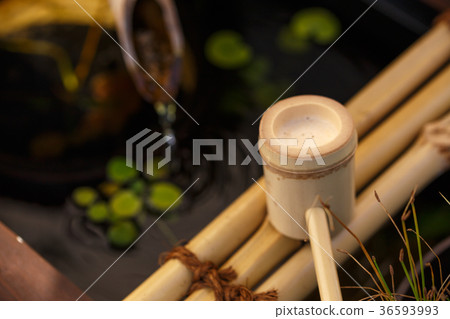 Japanese Tsubaiai Japanese Tsubaiai 36593993