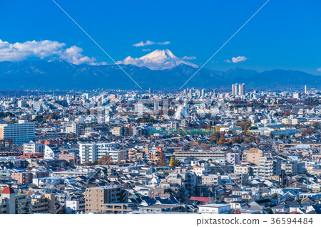 《東京》俯瞰著居民區和富士山的風景 36594484