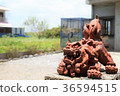 Okinawa Ishigakijima Shisa 36594515