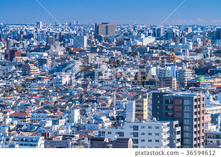 《Tokyo》 A refreshing morning residential area 《Tokyo》 A refreshing morning residential area 36594612