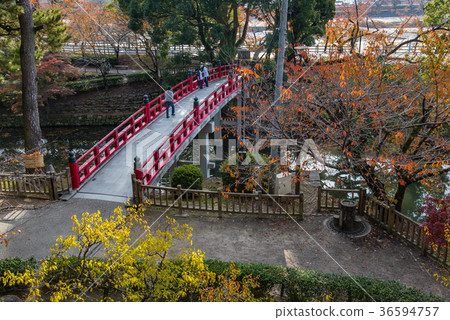 Aichi Okazaki Castle Kamihashi Ryujohori of autumn leaves Aichi Okazaki Castle Kamihashi Ryujohori of autumn leaves 36594757