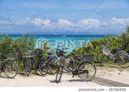騎自行車(新濱) 騎自行車(新濱) 36596880
