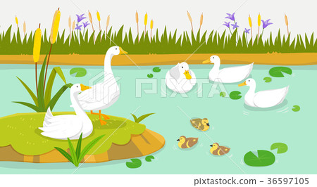 Peaceful wild animals, RF illustration 009 36597105