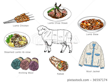 information of meat parts, RF illustration 006 36597174