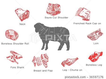 Meat Body Part information of meat parts, RF illustration 005 - Stock Illustration ...