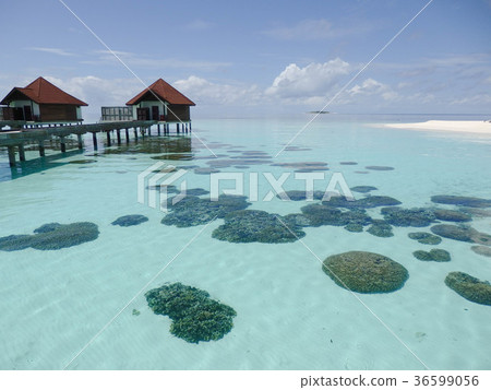 Maldives water villa sea sand beach Maldives water villa sea sand beach 36599056