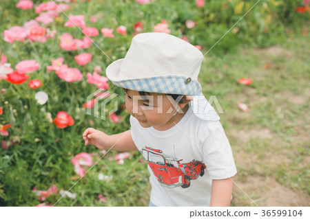 child, whelp, younger 36599104