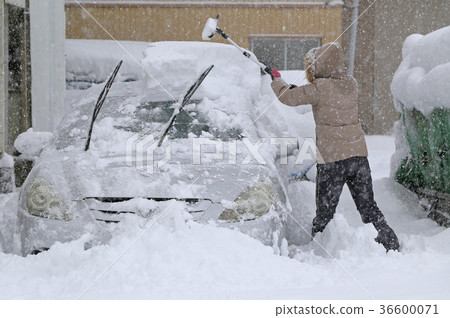 Snow removal of car Snow removal of car 36600071