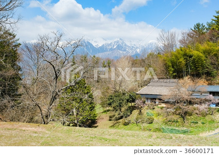 Spring rural landscape Spring rural landscape 36600171
