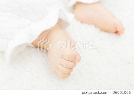 Baby close-up body parts legs Baby close-up body parts legs 36601066