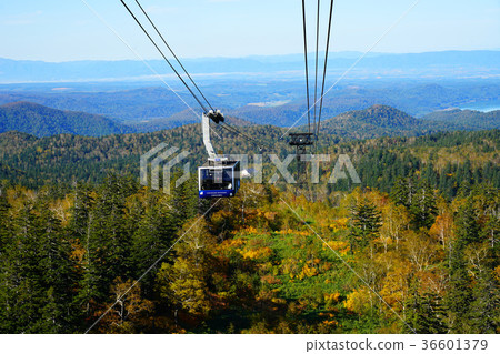 北海道Asahidake秋葉 36601379