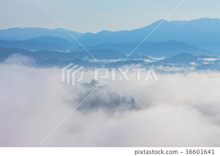 Mist in the morning at the top of the hill. Mist in the morning at the top of the hill. 36601641