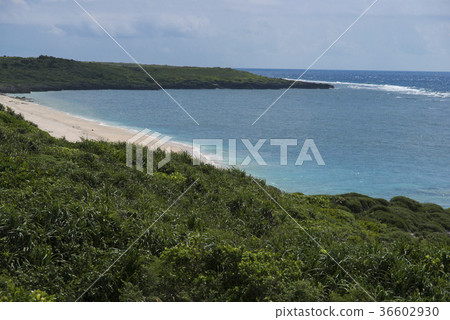 Pemu Beach (Hateruma Island) 36602930