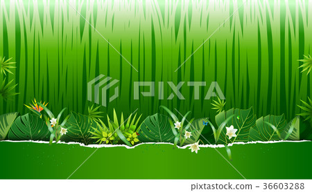 Bright tropical background with jungle plants. Bright tropical background with jungle plants. 36603288