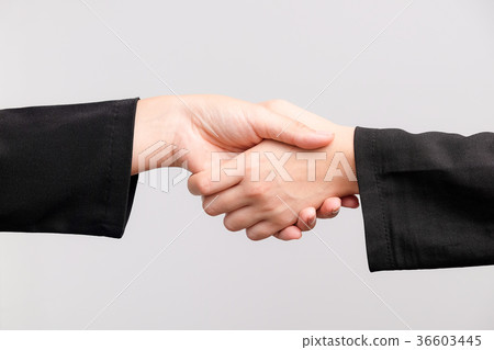 Close up of two business women shaking hand Close up of two business women shaking hand 36603445