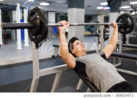 Young man bodybuilder doing weight lifting in gym. Young man bodybuilder doing weight lifting in gym. 36603471