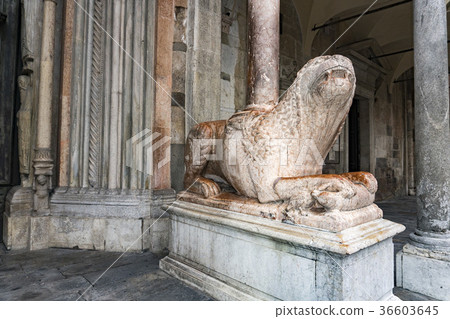 Cremona gothic medieval dome lion statue 36603645