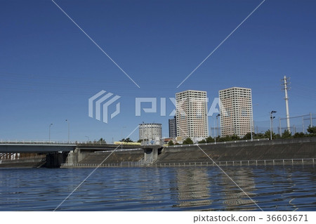 浦安市12月 36603671