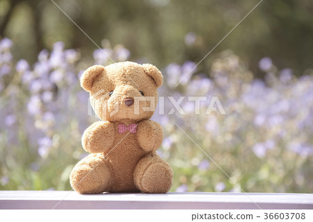 Teddy bear on a flower background blurred Teddy bear on a flower background blurred 36603708