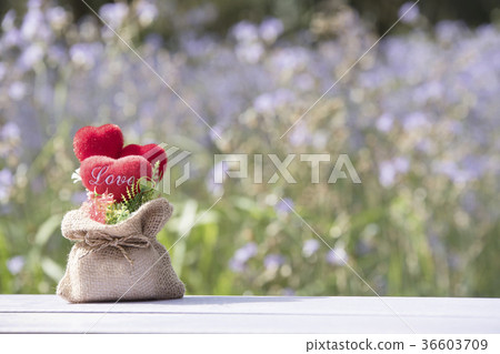 Head in love in valentine Natural Head in love in valentine Natural 36603709
