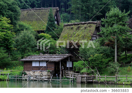 飛Tak高山 36603883
