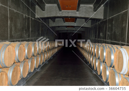 Spain Bilbao Winery 36604735