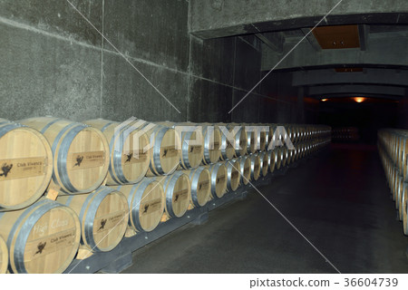 Spain Bilbao Winery Spain Bilbao Winery 36604739