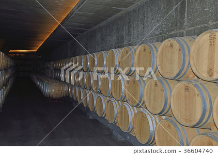 Spain Bilbao Winery 36604740