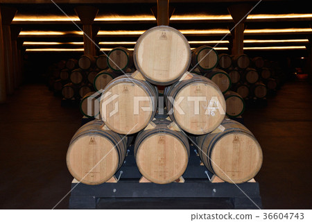 Spain Bilbao Winery Spain Bilbao Winery 36604743