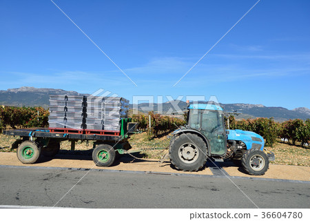 Spain Bilbao Winery 36604780