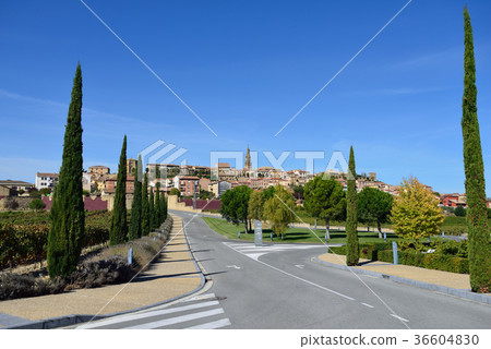 Spain Bilbao Winery Spain Bilbao Winery 36604830