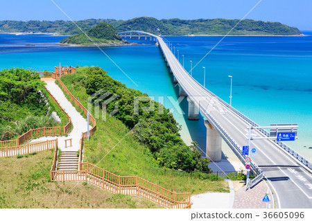 Tsunoshima Ohashi-A bridge over the emerald green sea-a scenic spot on Yamaguchi Prefecture- 36605096