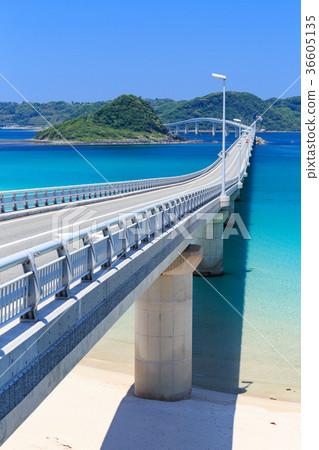 Tsunoshima Ohashi-A bridge over the emerald green sea-a scenic spot on Yamaguchi Prefecture- 36605135