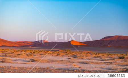 Sand dunes in the Namib desert Sand dunes in the Namib desert 36605583