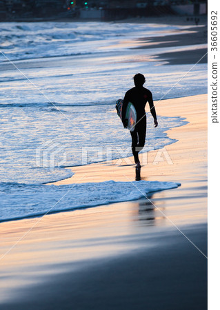 Sunset, Shonan surfer 36605692