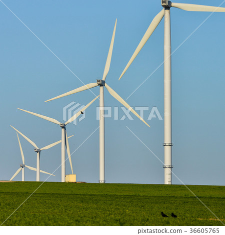 Windmills for electric power production blue sky 36605765