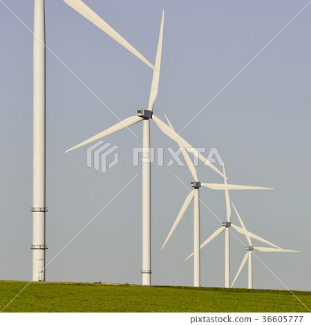 Windmills for electric power production blue sky Windmills for electric power production blue sky 36605777