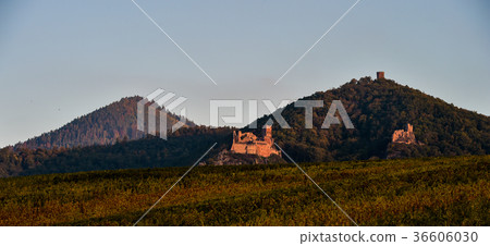 Ribeauville, the castle Saint-Ulrich and Gilsberg 36606030