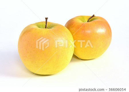 An apple (koko) 36606054