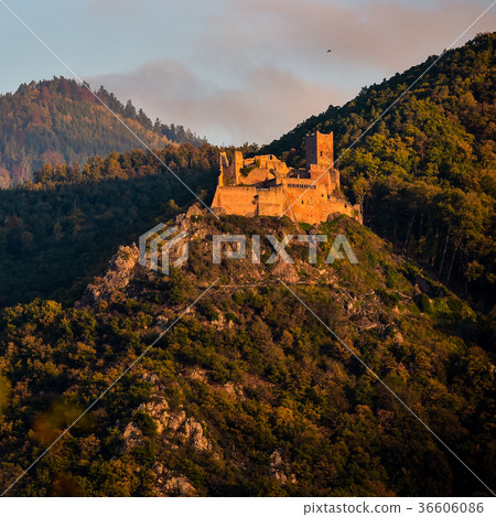 Ribeauville, the castle Saint-Ulrich and Gilsberg 36606086