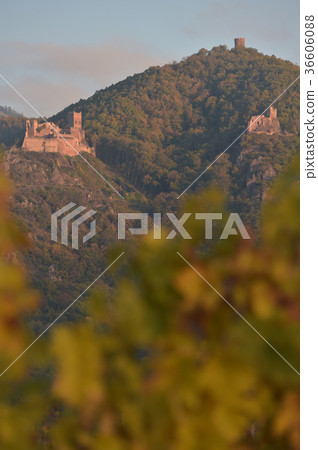 Ribeauville, the castle Saint-Ulrich and Gilsberg 36606088