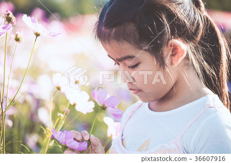 Cute asian child girl smelling cosmos flower 36607916