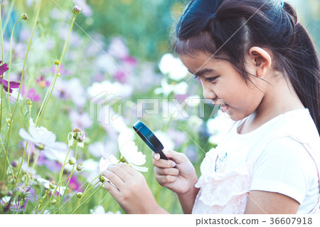 Cute asian child girl looking beautiful flower Cute asian child girl looking beautiful flower 36607918