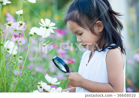 Cute asian child girl looking beautiful flower 36608010
