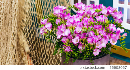 flower bouquet of pink alstroemeria background flower bouquet of pink alstroemeria background 36608067