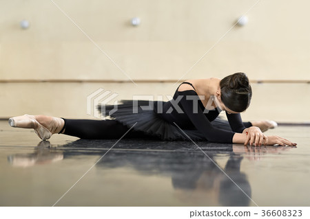 Ballerina posing in dance hall 36608323