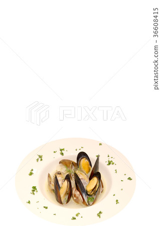 Shellfish clam and mussels with spice white wine steamed 36608415