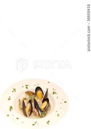 Shellfish clam and mussels with spice white wine steamed 36608416