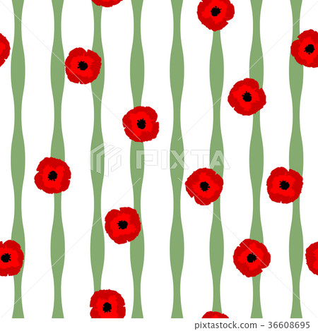 Seamless pattern Poppies, green lines on white 36608695